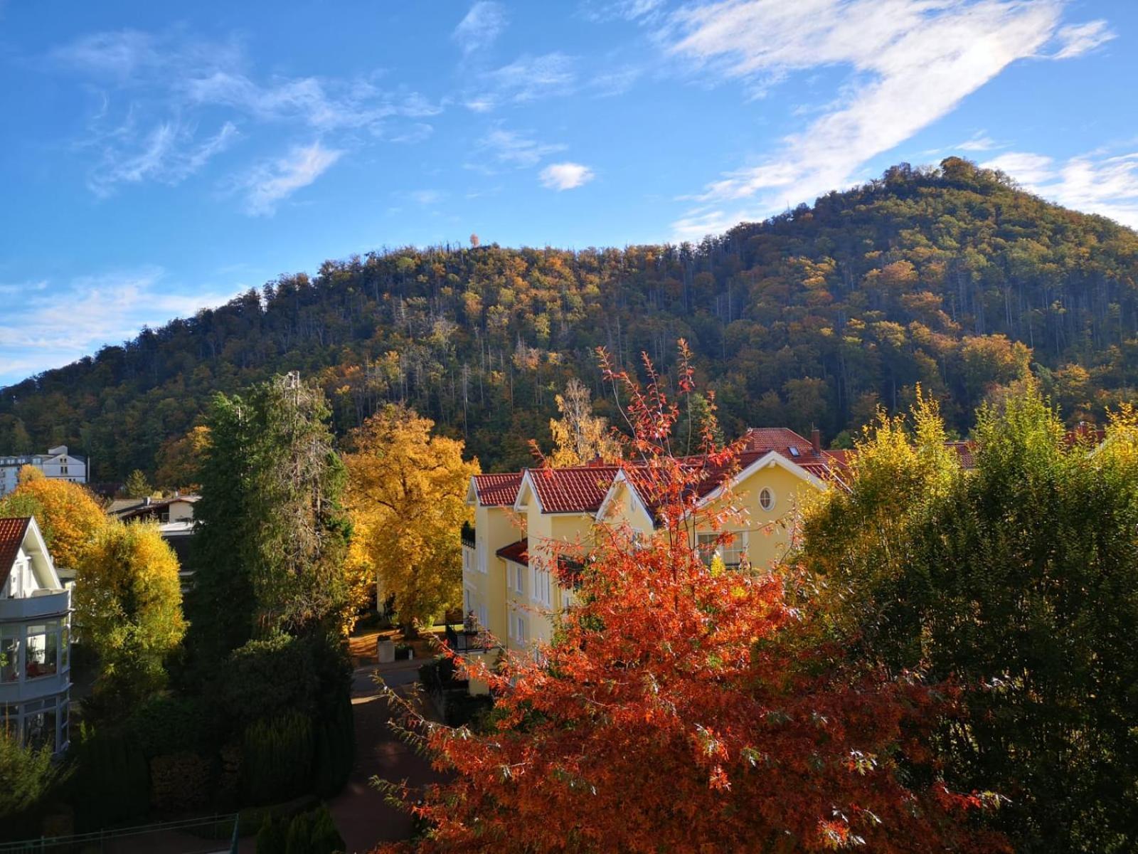 Apartament Bergliebe Bad Harzburg Zewnętrze zdjęcie